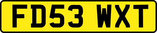 FD53WXT