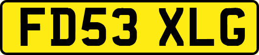FD53XLG
