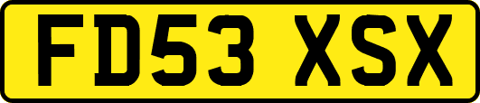 FD53XSX