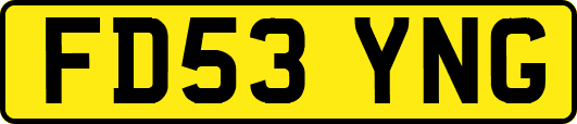 FD53YNG