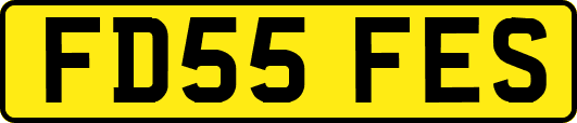 FD55FES