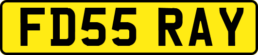 FD55RAY