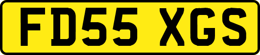 FD55XGS