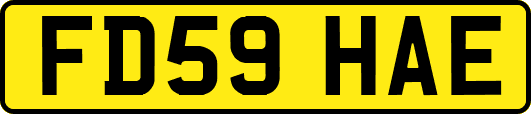 FD59HAE