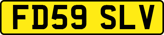 FD59SLV