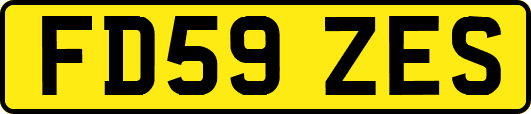 FD59ZES