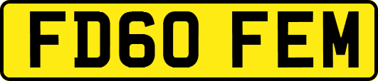 FD60FEM