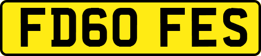 FD60FES