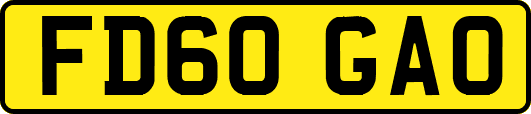 FD60GAO