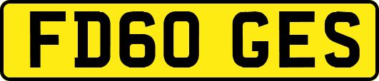 FD60GES