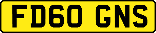 FD60GNS