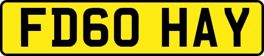 FD60HAY