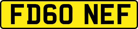 FD60NEF
