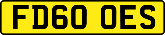 FD60OES