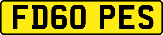 FD60PES