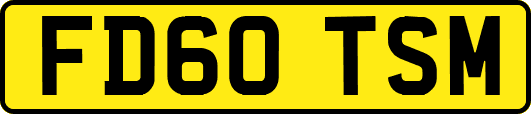 FD60TSM