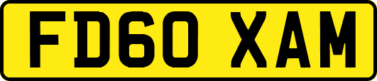 FD60XAM