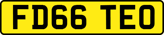 FD66TEO