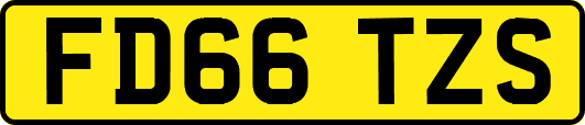 FD66TZS