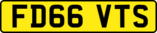 FD66VTS
