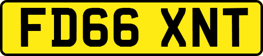 FD66XNT