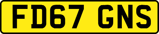 FD67GNS