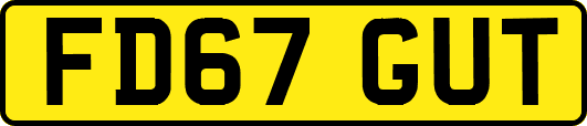 FD67GUT
