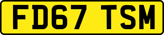 FD67TSM