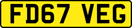 FD67VEG