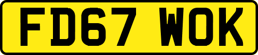 FD67WOK