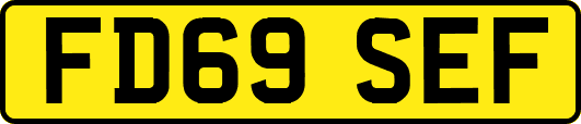 FD69SEF