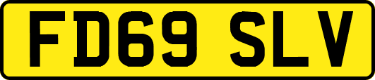 FD69SLV
