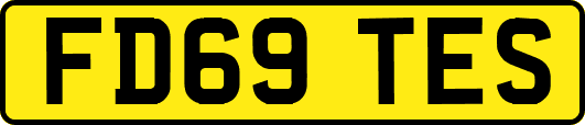 FD69TES