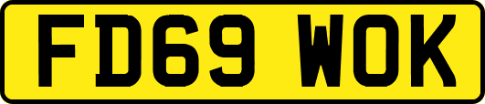 FD69WOK
