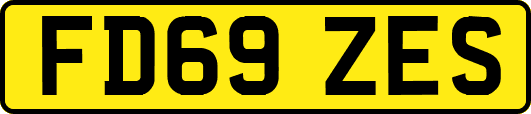 FD69ZES