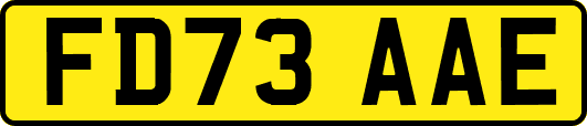 FD73AAE