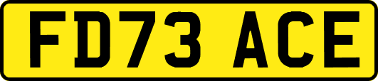 FD73ACE