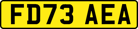 FD73AEA