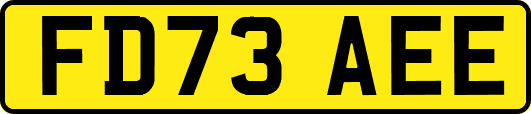 FD73AEE