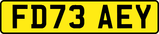 FD73AEY