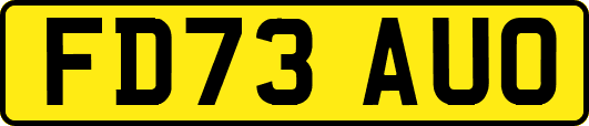 FD73AUO