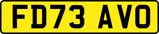 FD73AVO