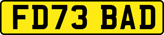 FD73BAD