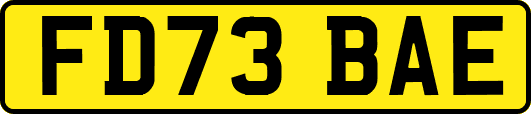 FD73BAE