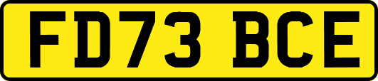 FD73BCE