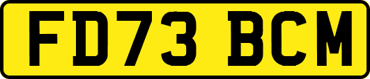FD73BCM