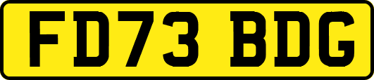 FD73BDG