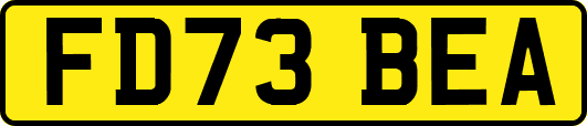 FD73BEA