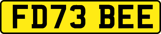 FD73BEE