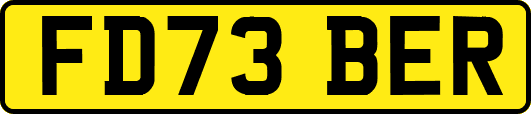 FD73BER